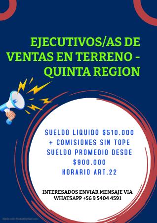 EJECUTIVOS/AS DE VENTAS - QUINTA REGION