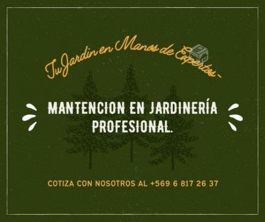 SERVICIOS  MANUEL MORALES SPA
